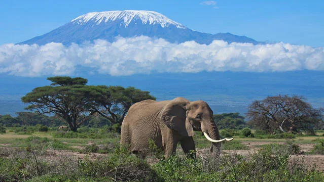 Mt. Kilimanjaro, Tanzania